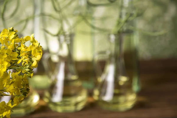 Semillas y flores de colza en botellas y jarras con aceite de colza — Foto de Stock