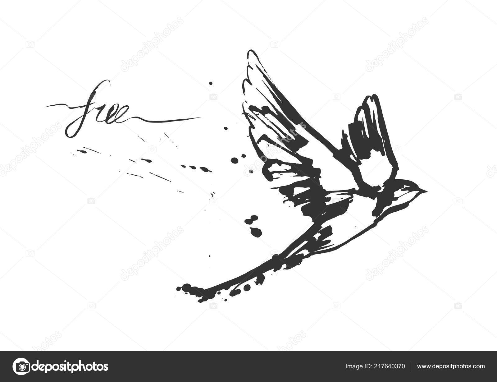 Illustrations Vectorielles Oiseau Hirondelle Vol Dynamique