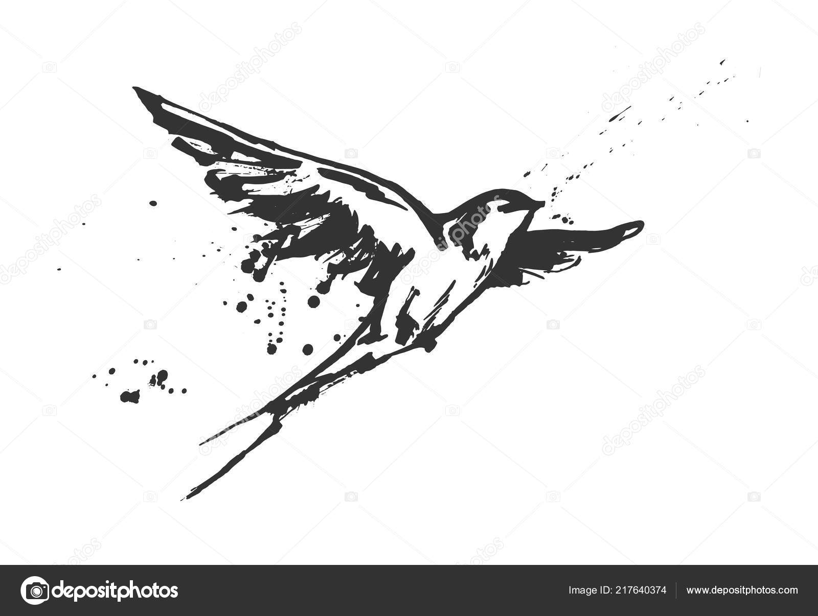 Illustration Vectorielle Oiseau Hirondelle Vol Dynamique