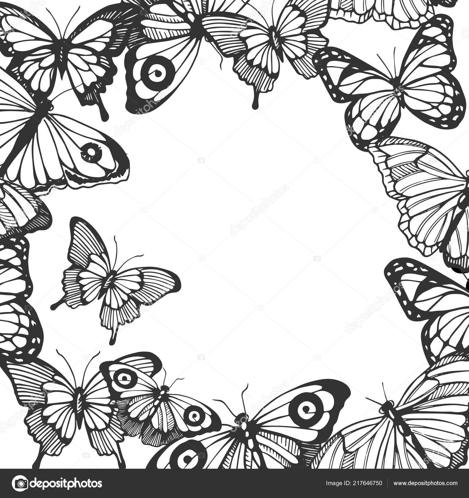 Illustrazione Disegno Di Una Cornice Illustrazione