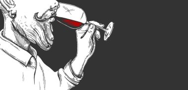 Vektör çizim bir sakallı adam sommelier şarap çalışıyor. İşlem tarzı oyma bir elle çizilmiş içinde içme alkol.