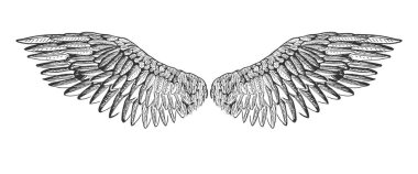 Vektör çizim yayılan kuş veya melek kanatları. Vintage elle çizilmiş aşındırma, dövme sanat tarzı.