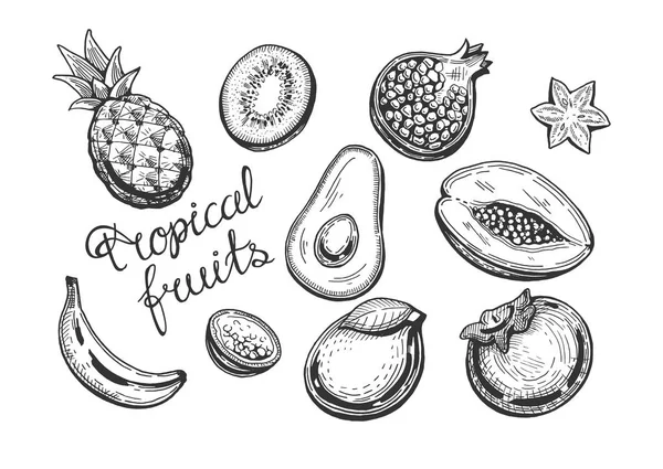 Illustrazione Vettoriale Insieme Frutti Tropicali Ananas Banana Mango Frutto Della — Vettoriale Stock