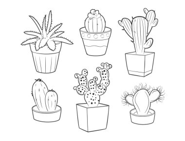 Vektör çizim farklı kaktüsler ve succulents tencere ayarlayın. Beyaz arka plan üzerinde izole siyah ve beyaz doğrusal anahat çizim.