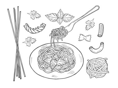 Bir makarna vektör çizim ayarlayın. Tabak ve çatal ile spagetti makarna, yay veya kelebek, farfalle, yuva, düdük, tortiglioni, rigatoni. Vintage elle çizilmiş stil oyma.
