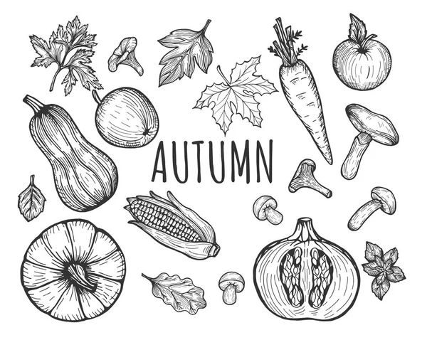 秋の季節メニュー果物と野菜セットのベクター イラストです カボチャのトップ スライス スカッシュ ニンジン リンゴ 森のキノコ 秋の葉 トウモロコシの耳 — ストックベクタ