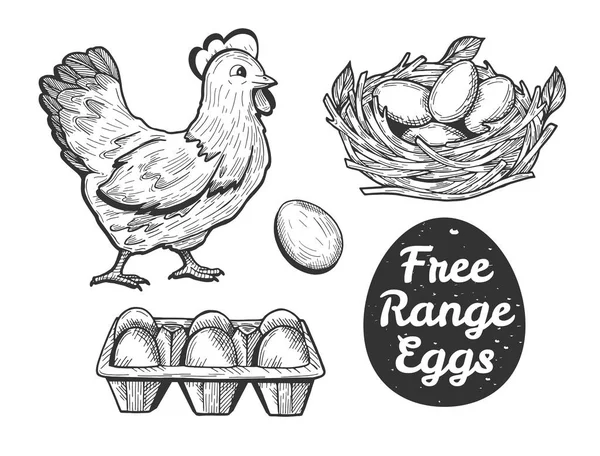 Vector Illustration Free Range Eggs Set Hen Egg Paper Tray — Stock Vector
