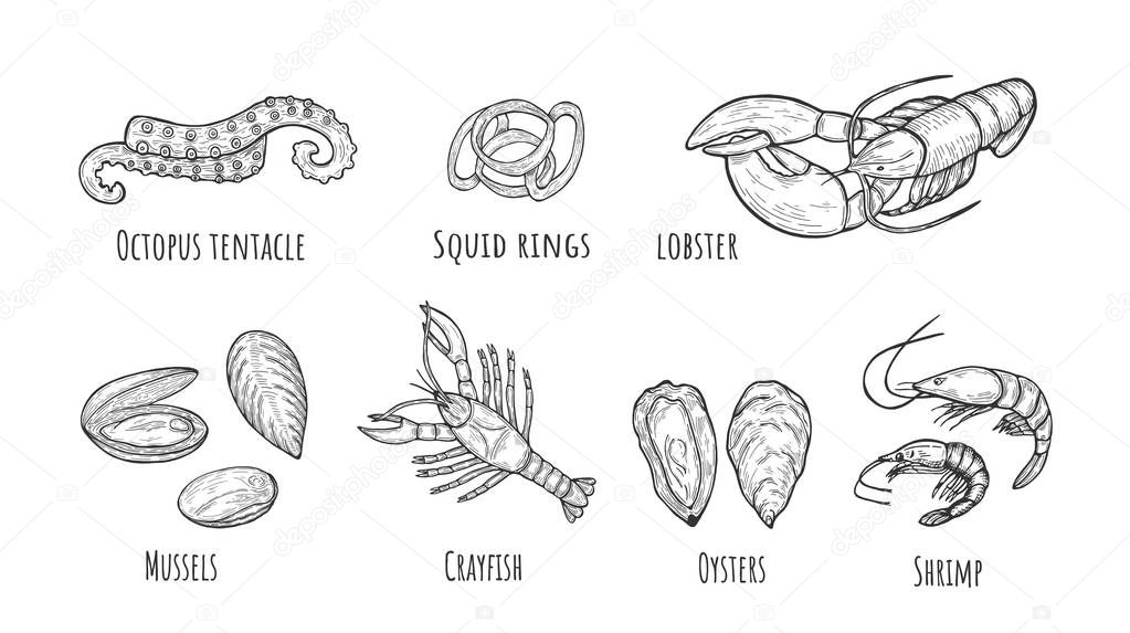 Vector illustration of seafood icons set. Octopus tentacle, squid rings, lobster, mussels, crayfish, oyster, shrimp. Vintage hand drawn style.