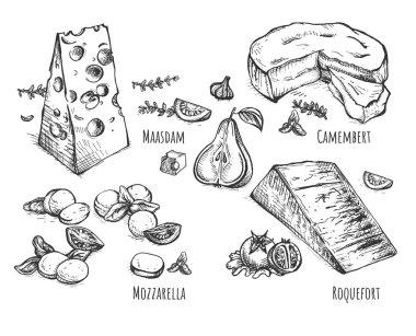 Peynir ve gıda vektör çizim ayarlayın. Maasdam, fesleğen ve domates, Camambert, sarımsak ve armut, mozzarella pignolia fındık ve rocca salata, rokfor, mavi ve armut. Vintage elle çizilmiş stili.