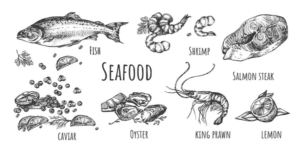 해산물의 일러스트 설정합니다 물고기 스테이크 조미료 향신료 빈티지 손으로 스타일 — 스톡 벡터