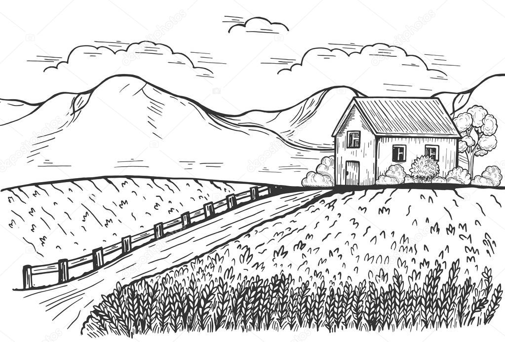 Vector illustration of rural landscape with homeward road, roadside fence and wheat fields on both sides, house with garden and mountains on background. Vintage hand drawn style.