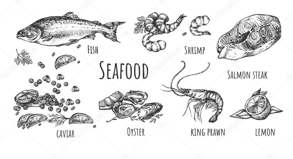Vector illustration of seafood set. Fish, shrimp, salmon steak, caviar, oyster, king prawn, lemon and other flavoring spices. Vintage hand drawn style.