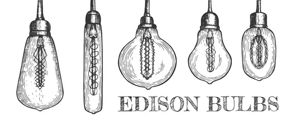 Különböző alakú függő Edison izzók gyűjteménye — Stock Vector