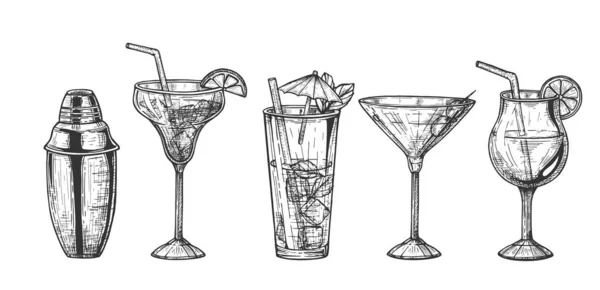 Conjunto de cocteles Shaker y exóticos — Archivo Imágenes Vectoriales