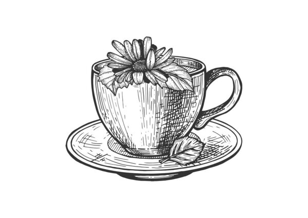 Cup of tea and plate composition set