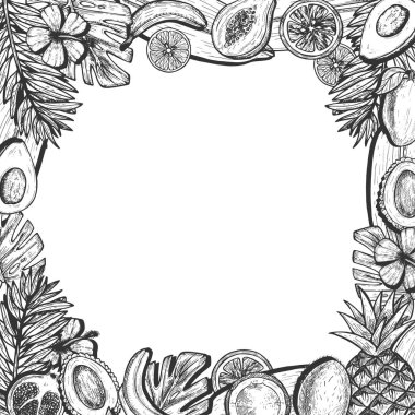 Boş alan seti ile egzotik meyve çerçeve kompozisyon vektör illüstrasyon. Papaya, nar, avokado, ananas, mango, muz, hindistan cevizi, likeni, tropikal yeşillik dekor. Vintage el çizilmiş tarzı.