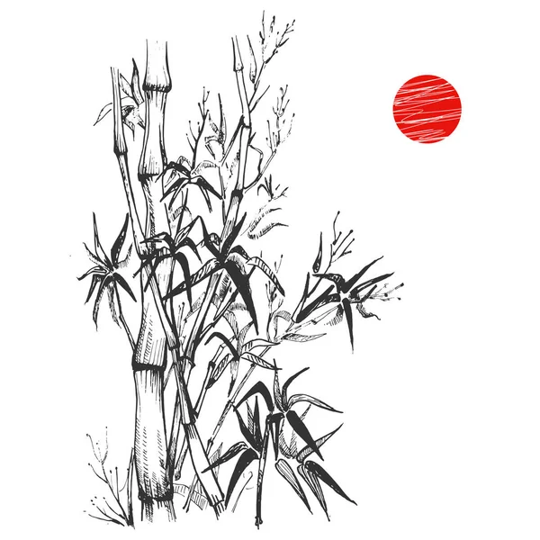 Sumi-e boceto con conjunto de plantas de bambú — Vector de stock