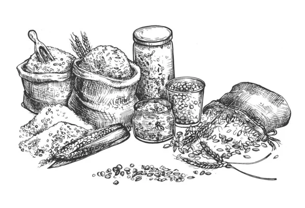 Nature morte ensemble de croupe et de céréales — Image vectorielle