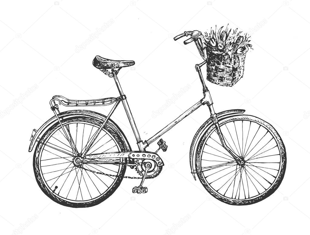 Sketchy style city bicycle for lady