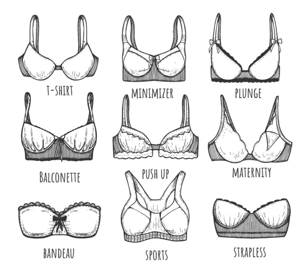 Set of bra cartoon female lingerie sport Vector Image
