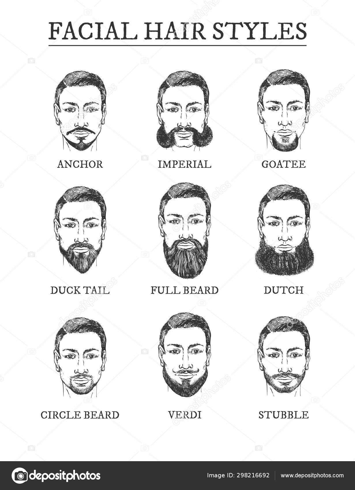 Facial hair styles barber guide set Stock Vector Image by ©istryistry  #298216692