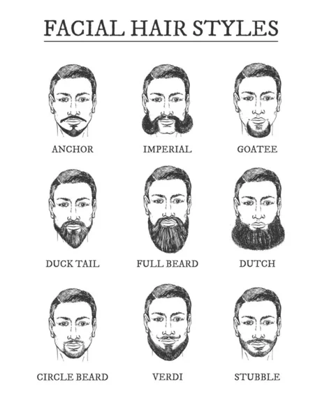 Pêlos faciais estilos barbeiro guia conjunto —  Vetores de Stock