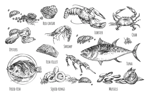 Ilustración natural de mariscos saludables — Vector de stock