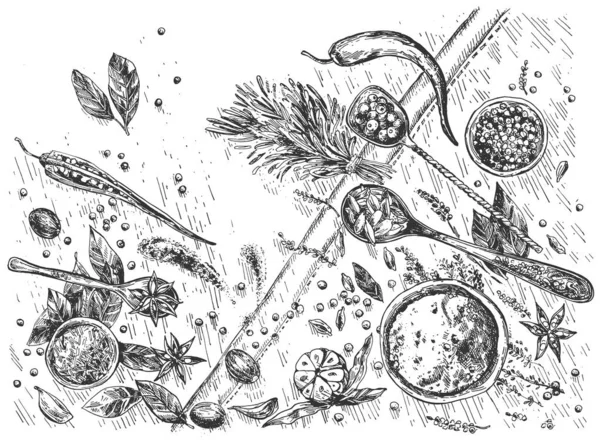 Cocina especias aromáticas naturaleza muerta — Vector de stock