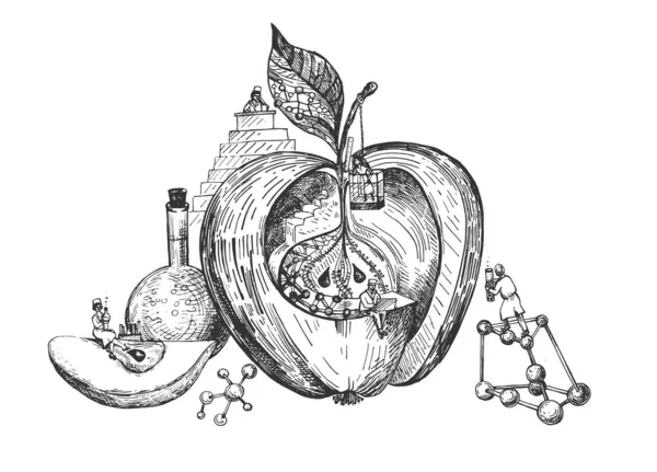 Upravené nezdravé jablko s Gmo — Stockový vektor