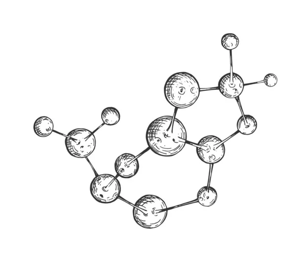 Vektorillustration Einer Großen Molekül Skizze Wissenschaftliche Forschung Und Medizinische Zeichnung — Stockvektor