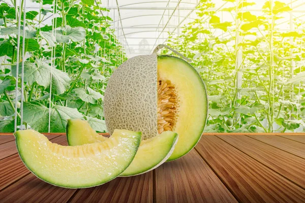 Sliced green melon or cantaloupe on brown wooden terrace in the greenhouse