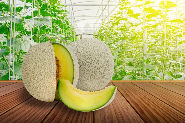 Sliced Green Melon Cantaloupe Brown Wooden Terrace Greenhouse — Stock Photo, Image