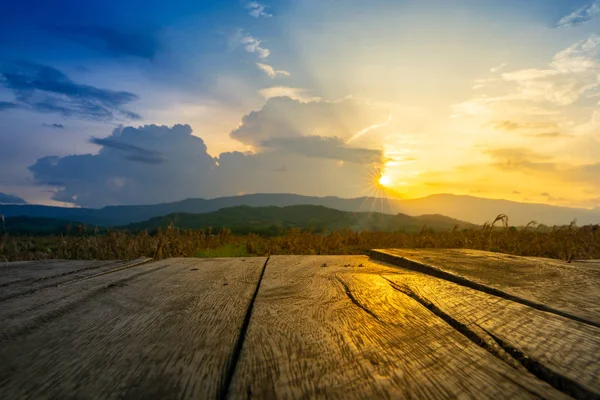 Old Brown Wooden Floor Agricultural Field Evening Beam Sunset — Stock Photo, Image