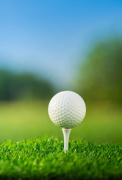 Fechar Bola Golfe Tee Pegs Pronto Para Jogar Fundo Verde — Fotografia de Stock
