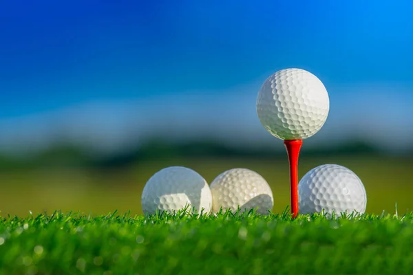 Cerrar Pelota Golf Las Clavijas Tee Listo Para Jugar Fondo — Foto de Stock