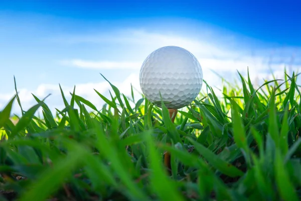 Ameisenblick Nahaufnahme Des Golfballs Auf Abschlagklammern Bereit Zum Spielen Mit — Stockfoto