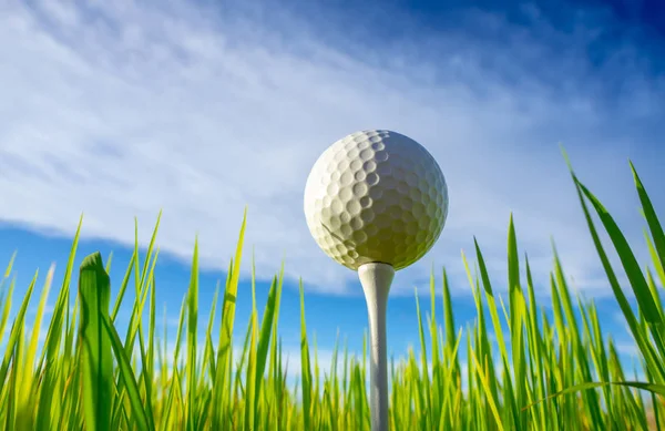 Ameisenblick Nahaufnahme Des Golfballs Auf Abschlagklammern Bereit Zum Spielen Mit — Stockfoto