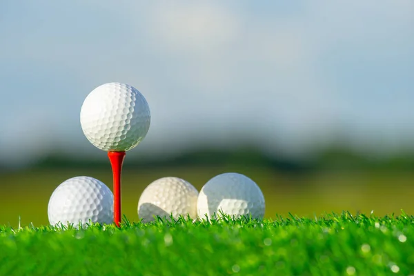 Feche Golfball Fundo Grama Verde — Fotografia de Stock