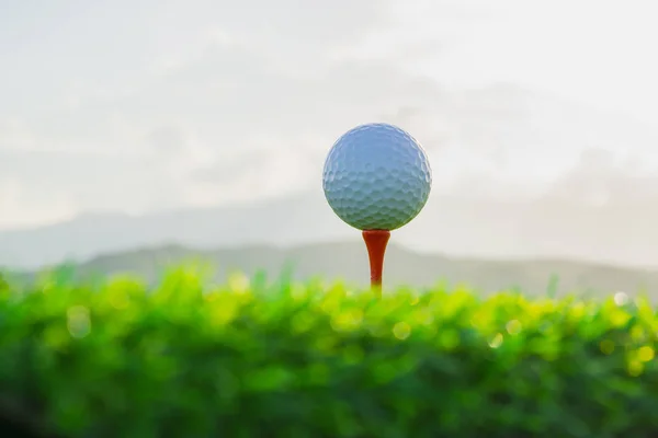 Fechar Bola Golfe Tee Pegs Pronto Para Jogar Fundo Natureza — Fotografia de Stock