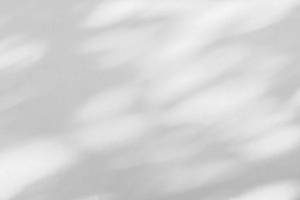 Κοντινό Πλάνο Του Υφή Επιφάνειας Τοίχου Από Σκυρόδεμα Φύλλα Σκιά — Φωτογραφία Αρχείου