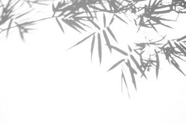 beyaz duvar yüzeydoku arka plan üzerinde bambu yaprağı gölgeler. beyaz ve siyah ton