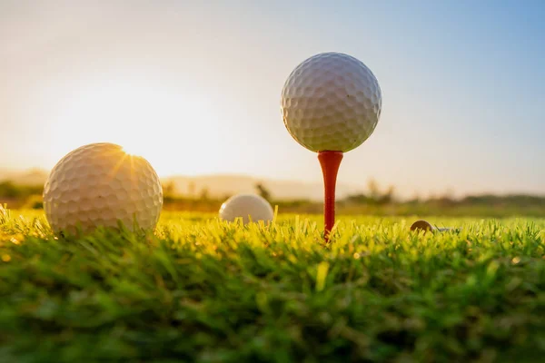 Esporte Livre Bola Golfe Tee Pegs Pronto Para Jogar Grama — Fotografia de Stock