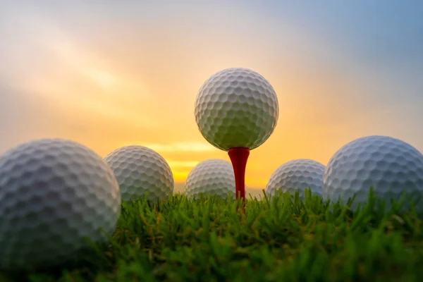 Esporte Livre Bola Golfe Tee Pegs Pronto Para Jogar Grama — Fotografia de Stock