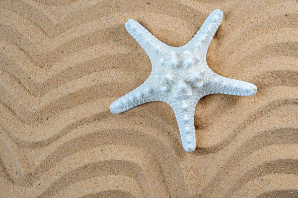 Seestern Auf Linie Welle Sand Textur Hintergrund — Stockfoto