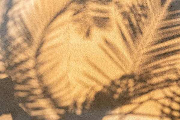 Schatten Palmblatt Auf Strand Textur Hintergrund Für Kreatives Design Sommerkonzept — Stockfoto