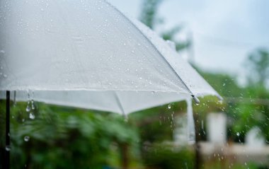 Yağmur mevsiminde beyaz şemsiyeye düşen yağmur damlaları