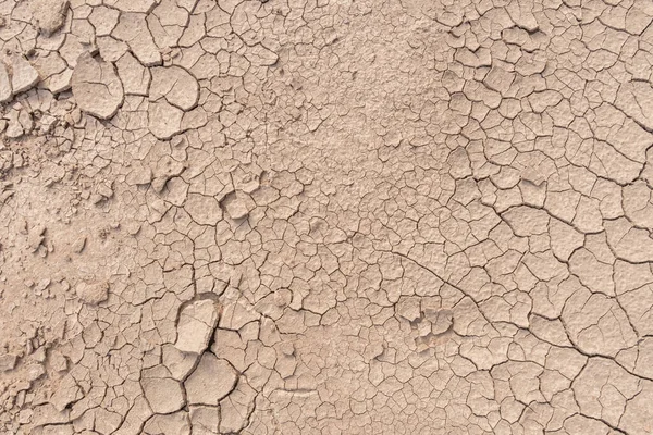 Dry Soil Ground Cracks Background Texture Drought Top View — Stock Photo, Image