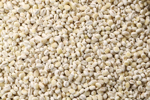 Food: Close up of Pearl Barley Shot in Studio