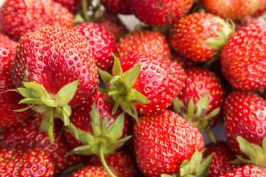 Çilek çilek yakın çekim