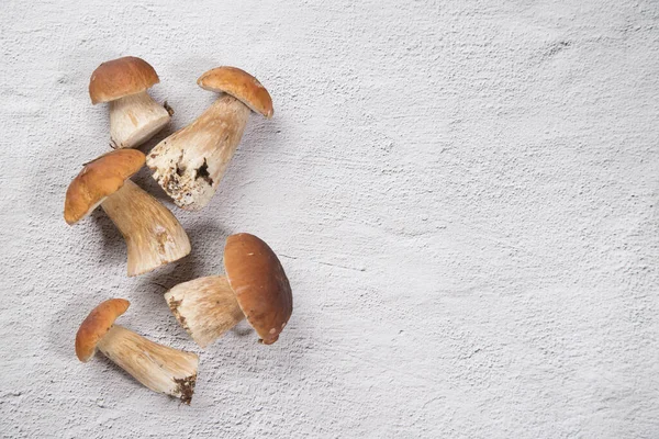 Ormandaki porcini mantarları arka planda seriliydi. Yatay oryantasyon. Kopyalama alanı